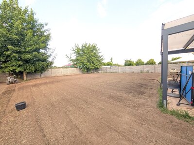 Garten (10).jpg