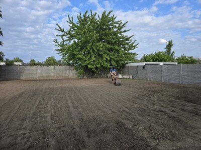 Garten (12).jpg