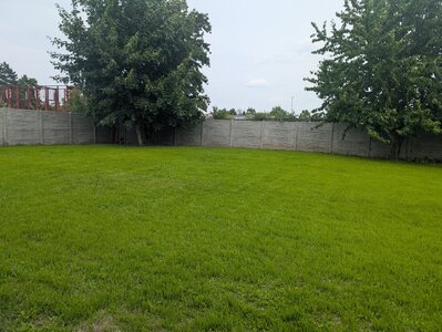 Garten (14).jpg