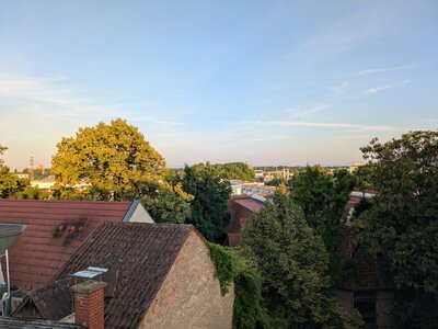 1000031247.jpg