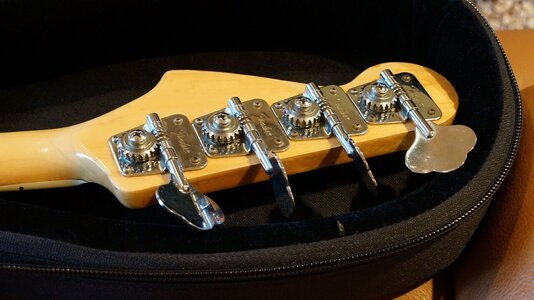Fender_Nico_2.JPG