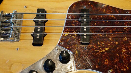 Fender_Nico_4.JPG