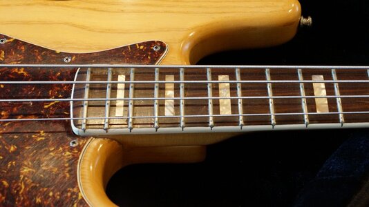 Fender_Nico_5.JPG