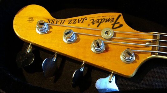 Fender_Nico_6.JPG
