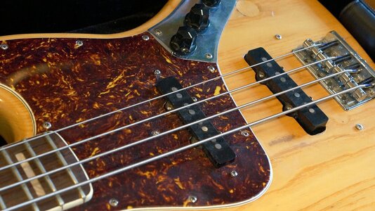 Fender_Nico_7.JPG