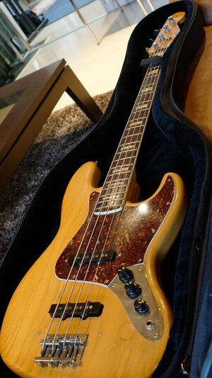Fender_Nico_8.JPG