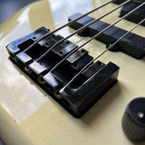 IMG_8702.JPEG