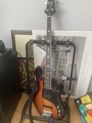 IMG_7874.jpeg