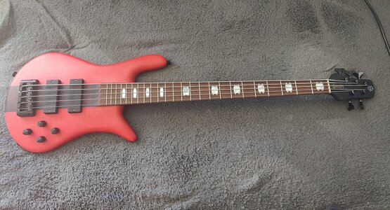 Spector limited edition