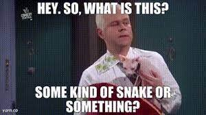 snake.jpg