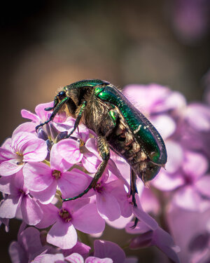 PANA8790-Enhanced-NR.jpg