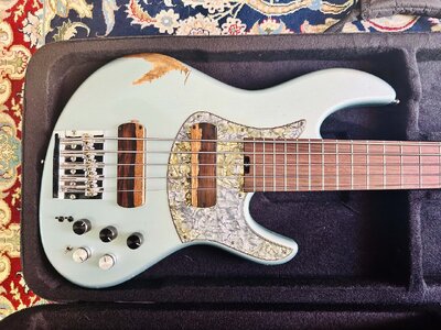 Torillo Element 5 String Custom