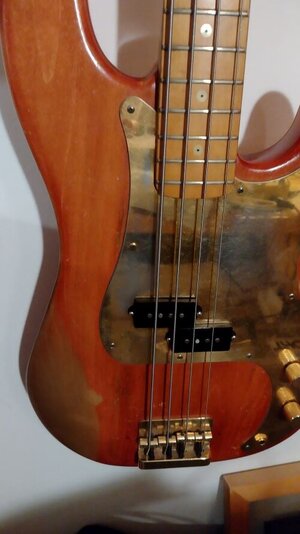 Fender1.jpg
