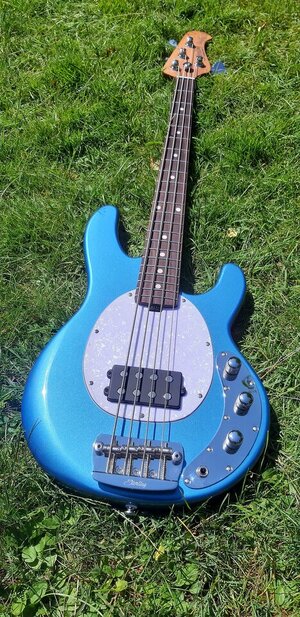 stingray-short2.jpg