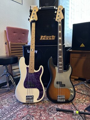 5-Saiter mit Humbucker(n) gesucht - gerne Tausch!