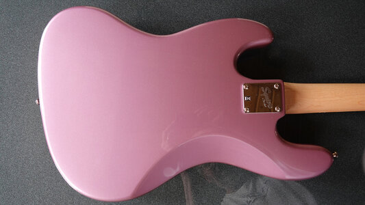 Squier_Back.jpg
