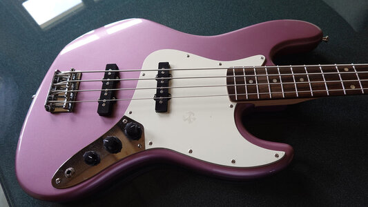 Squier_Korpus_Potis.jpg