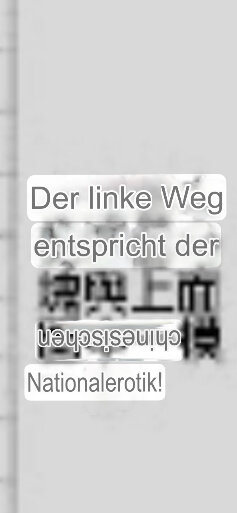 IMG_4207.jpeg