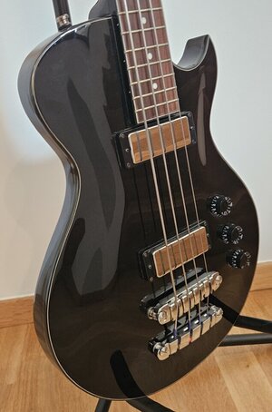 Ibanez SW_01.jpg