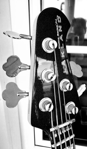 Suche Lakland 55-60
