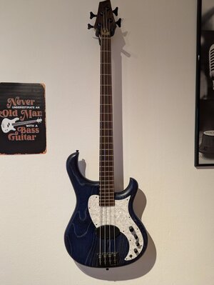 Human Base Roxy B4 in Blau