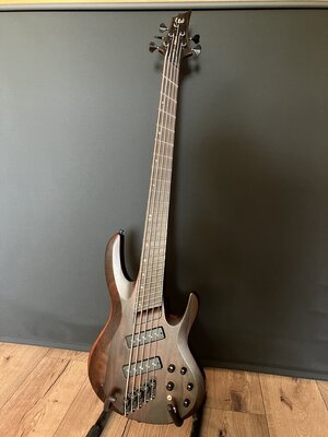 ESP LTD B-1005SE Multi-Scale NS E-Bass