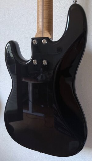 IMG_2035.jpeg