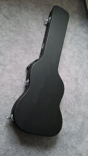 BC100 (2).jpg