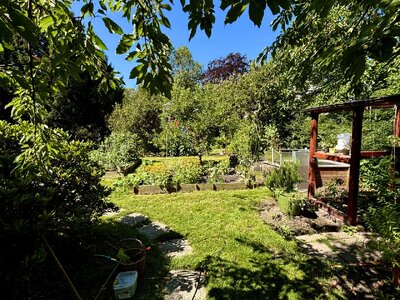 IMG_4863.jpeg IMG_4863.jpeg