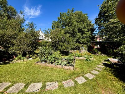 IMG_4864.jpeg IMG_4864.jpeg