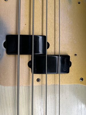 IMG_7553.jpeg