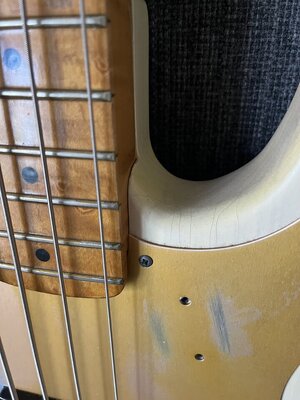 IMG_7536.jpeg