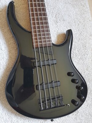MTD Grendel 5-Saiter Bass, aktiv, made in Cz, in Stgt
