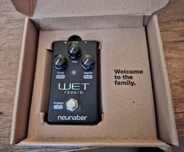 Neunaber Audio Wet Mono Reverb V5