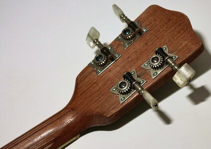6. IMG_2900.JPG