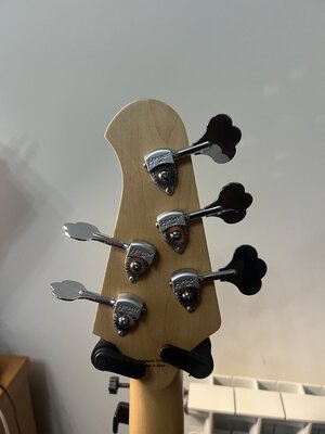 IMG_7068.jpeg