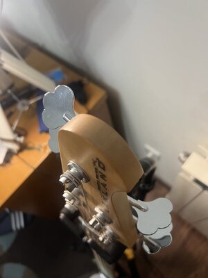 IMG_7067.jpeg