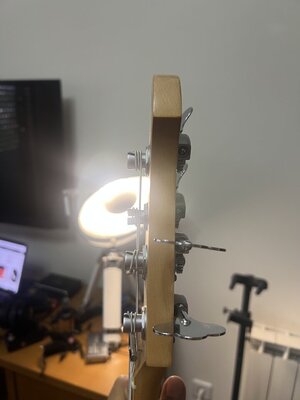 IMG_7074.jpeg