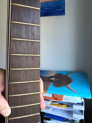 20250630_121947.jpg