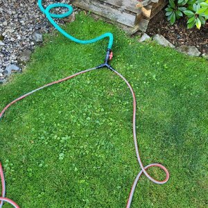 20250703_192704.jpg 20250703_192704.jpg