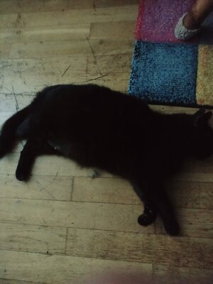 IMG20250704011238.jpg