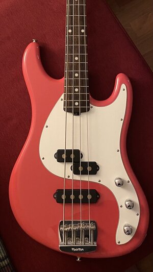 Suche Music Man Caprice Bass