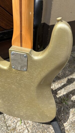 IMG_3936.jpeg