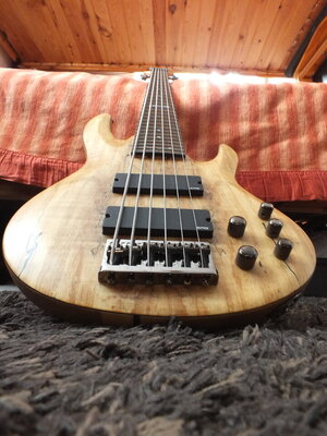 ESP LTD B -416 SM  6 String Bass
