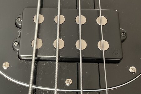 IMG_0498.jpeg