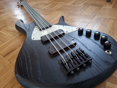 Torillo Shevette Tonedesign