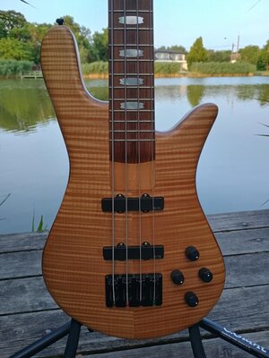 Spector NS-2J, Woodstock made.
