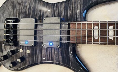 Suche: Spector bass with SimS Quads pickups
