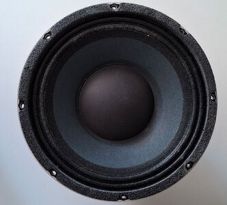 Eminence 10" (Bass Speaker)