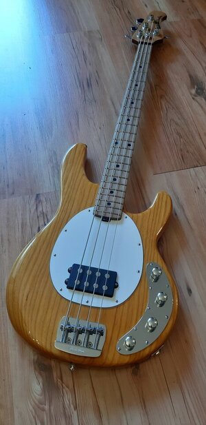 stingray-special-4.jpg